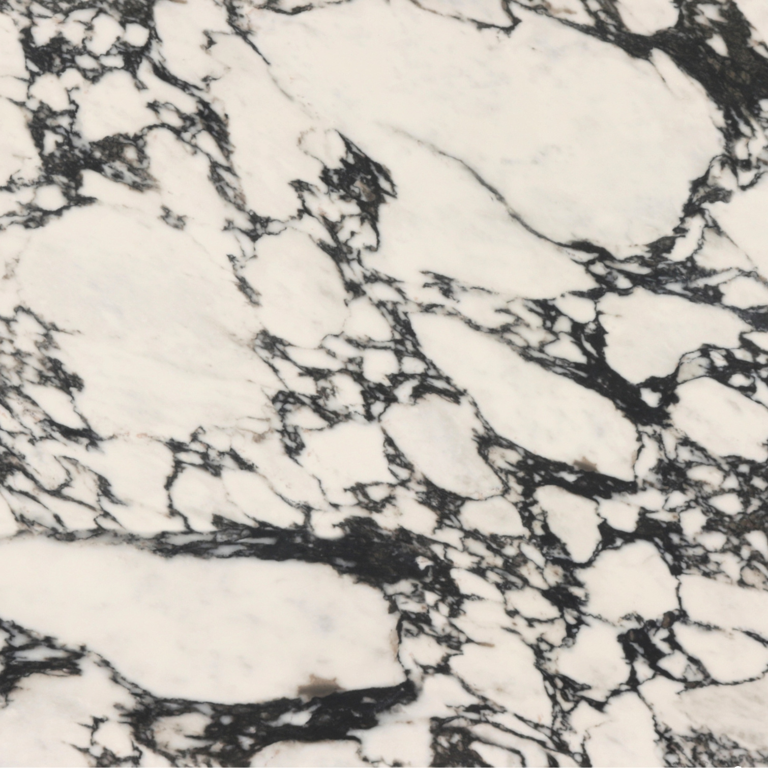 Calacatta Viola (Printed Quartz)