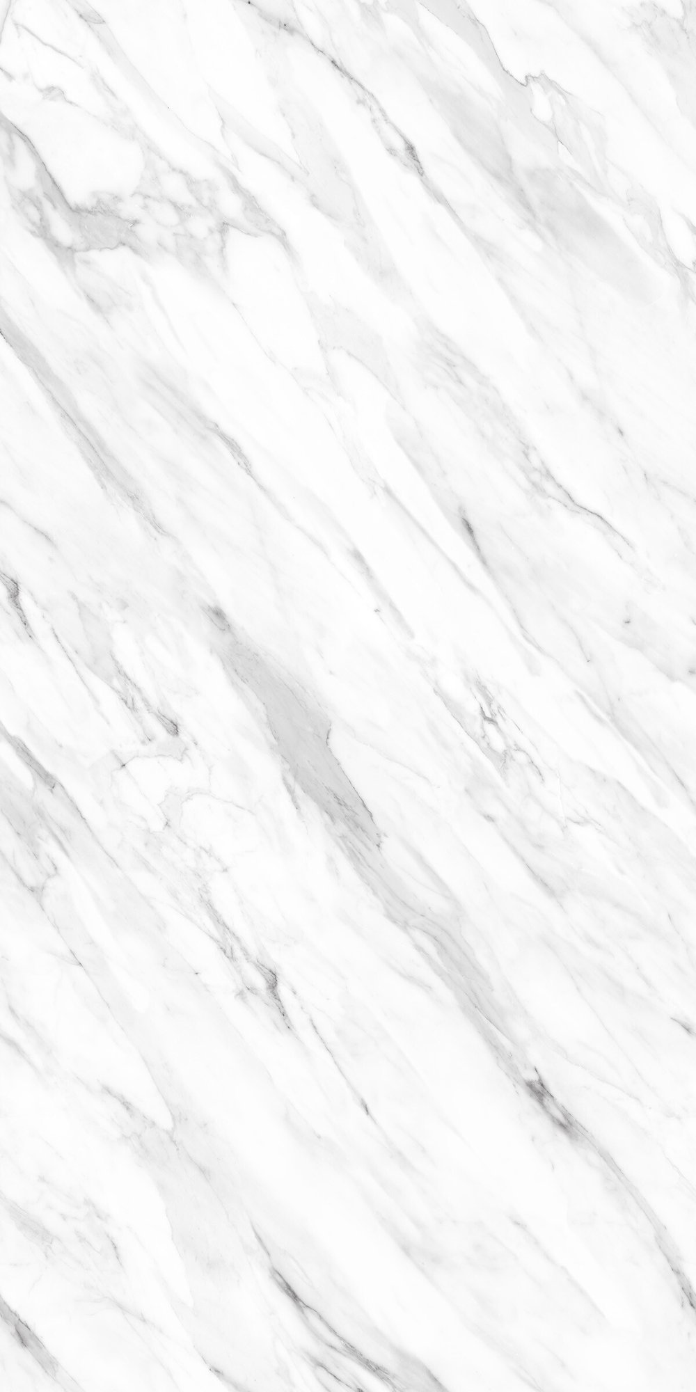 Statuario Nuvo