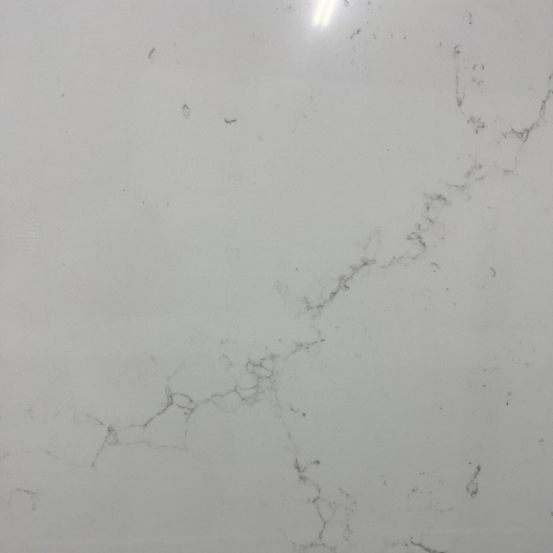 Calacatta Venatino