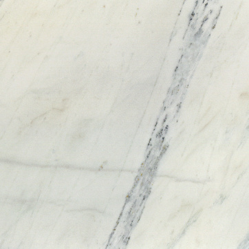 Rhino White