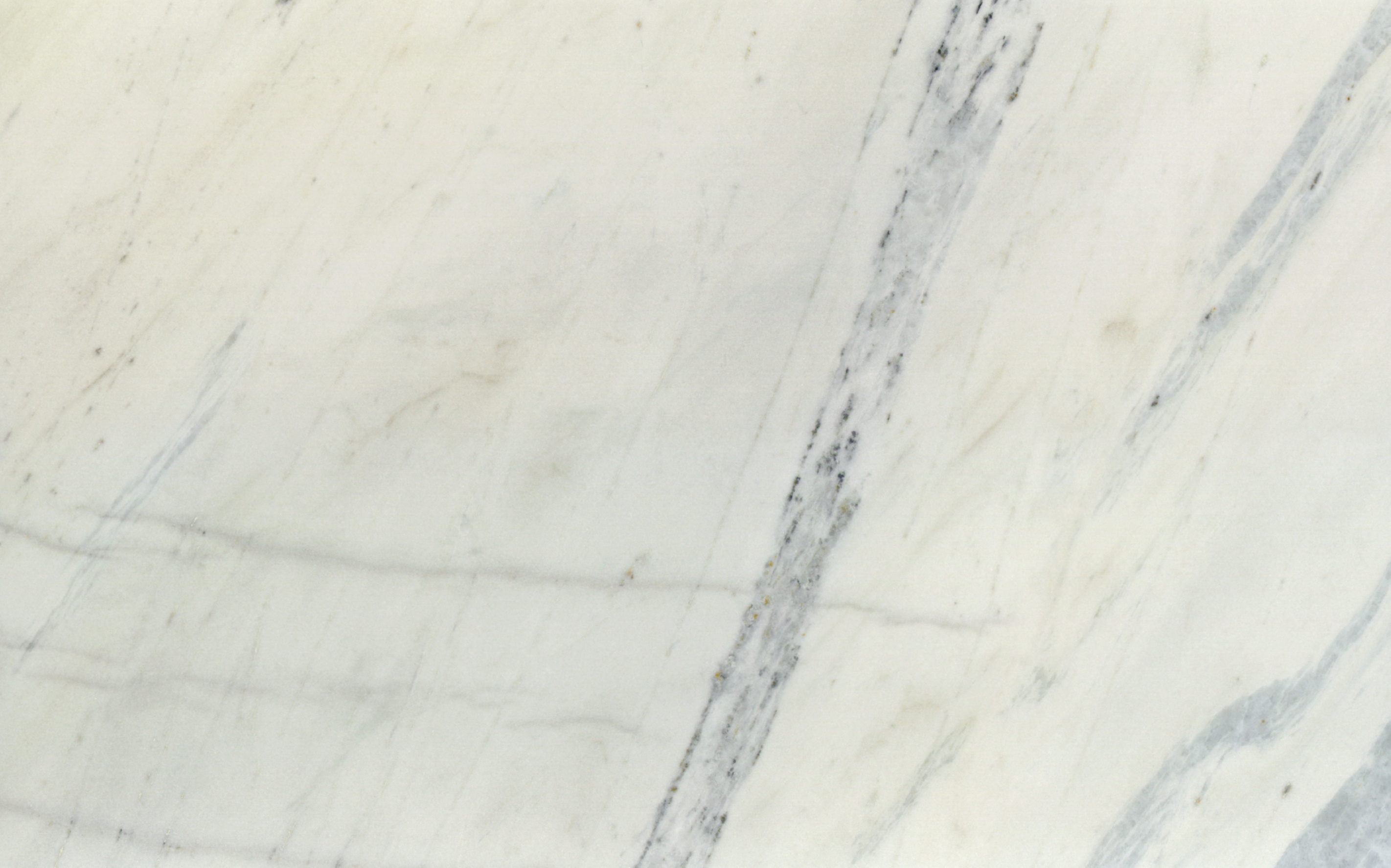 Rhino White
